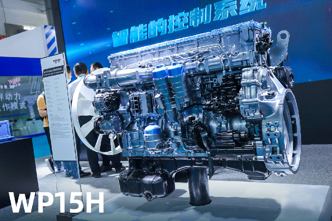 1686733599842136.gif 2.gif