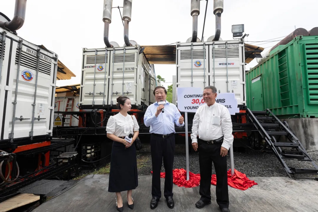 1716020452129556.jpg 龙3.webp.jpg