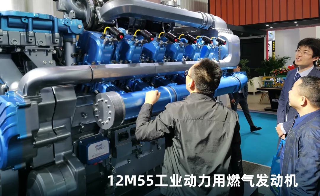 1716020930476548.jpg 龙3.webp.jpg